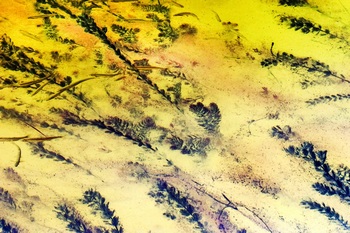 N 044D